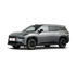 Toyota Bozhi 3X 2025 610 Max FWD Mountain Ash
